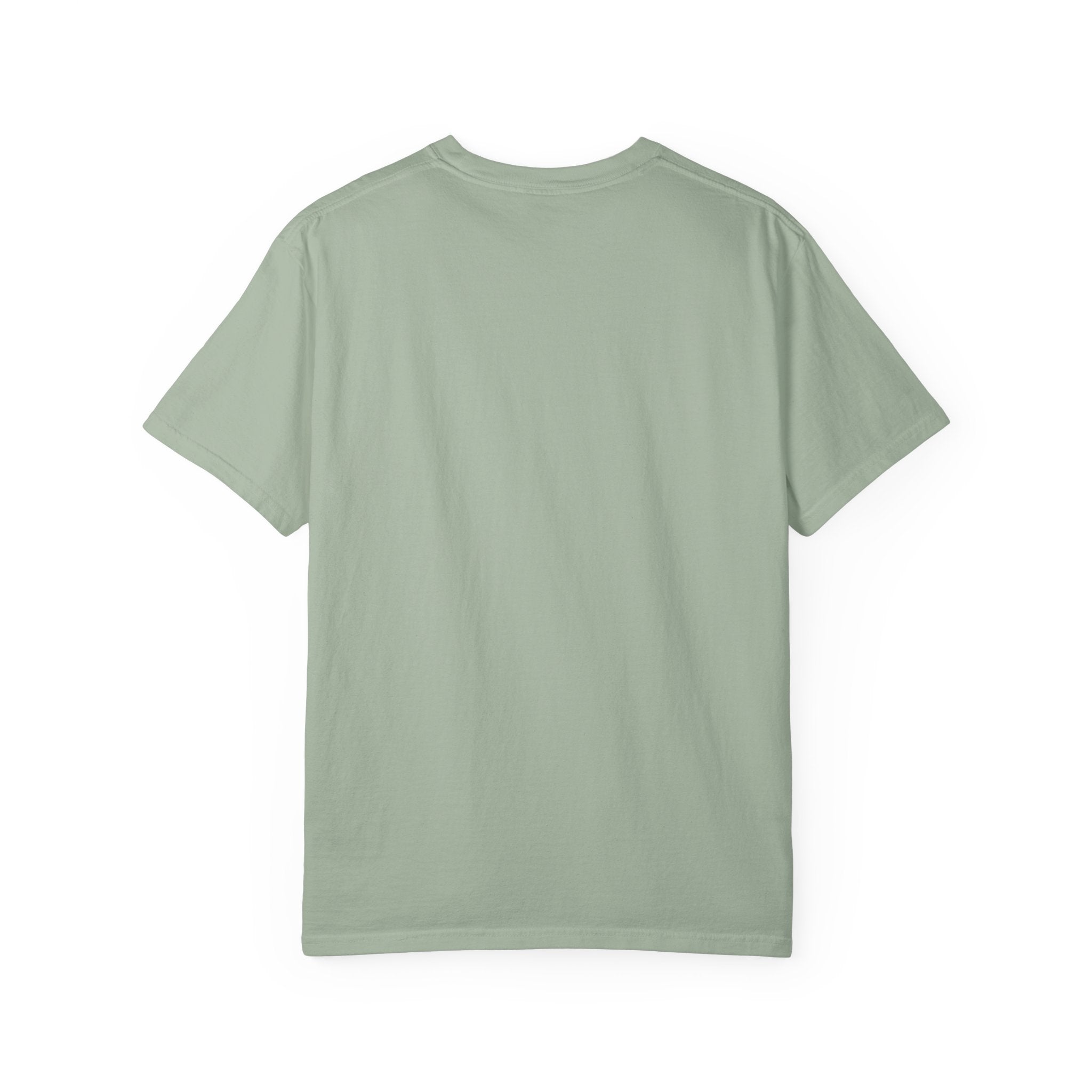 Professional Sock Thief T-shirt