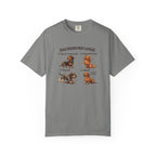Dachshund Logic T-shirt